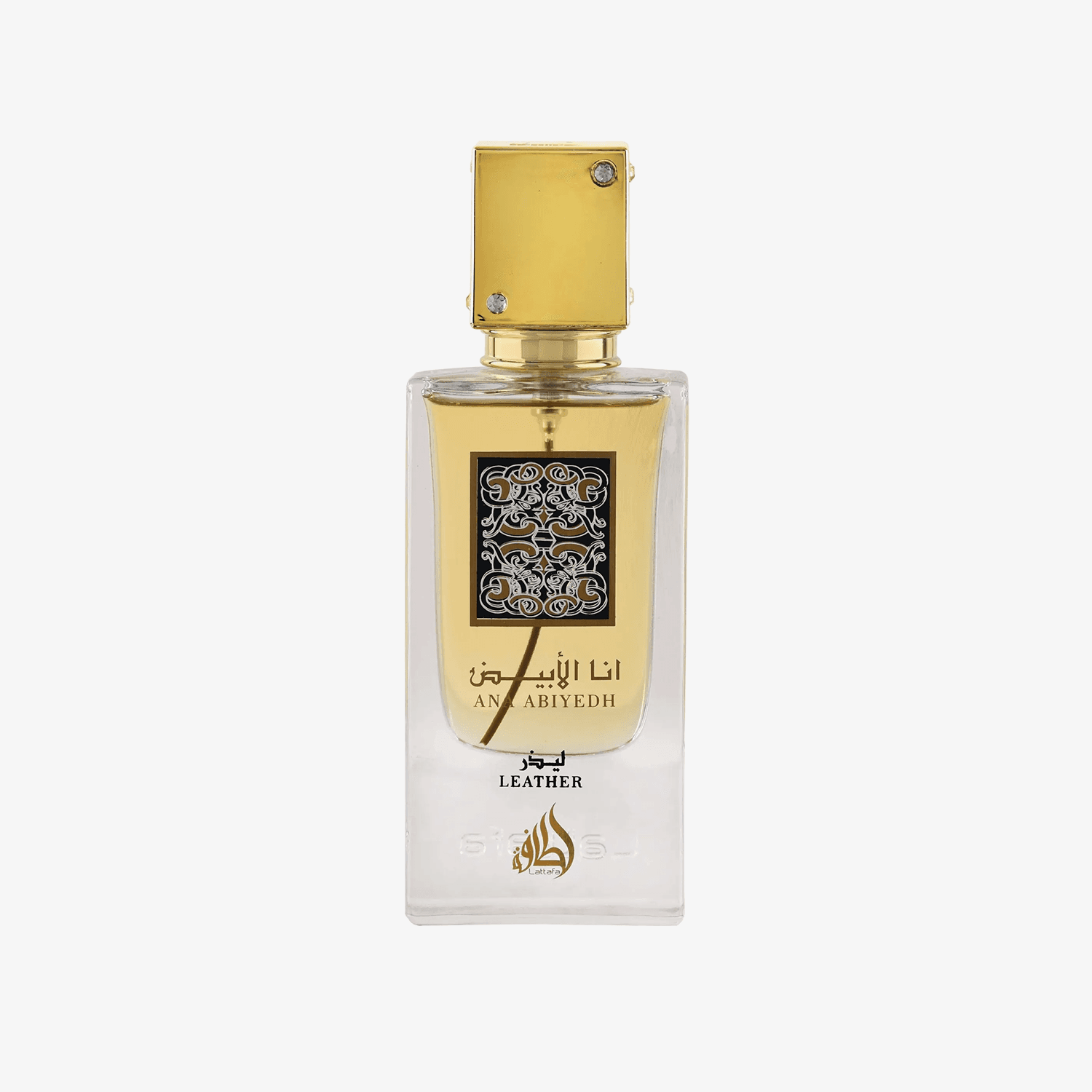 Ana Abiedh Leather